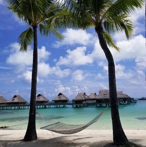 Fast Shipper & Top Rated Seller 😊